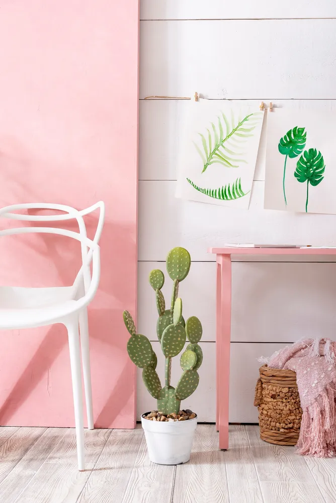 Milk Paint by Fusion Palm Springs Pink styled example 2